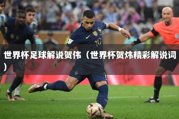 世界杯足球解说贺伟（世界杯贺炜精彩解说词）
