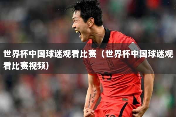 世界杯中国球迷观看比赛（世界杯中国球迷观看比赛视频）