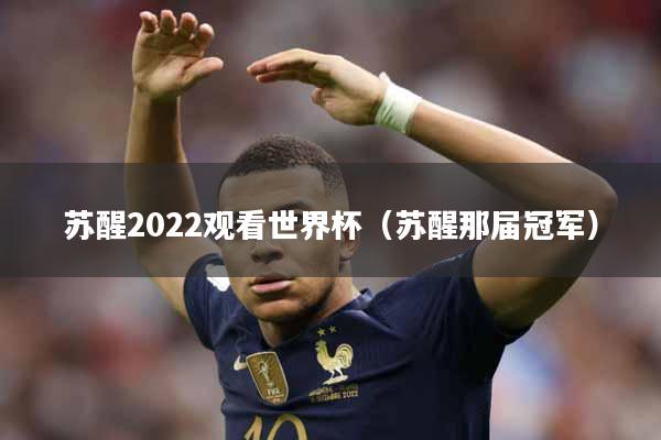 苏醒2022观看世界杯（苏醒那届冠军）
