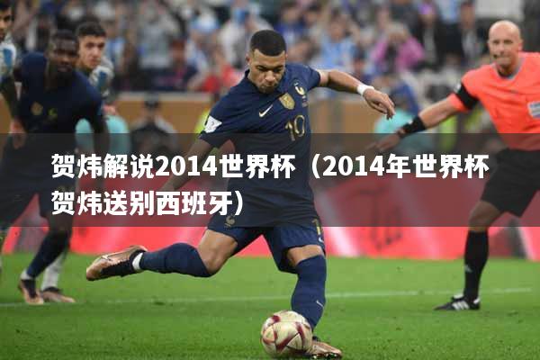 贺炜解说2014世界杯（2014年世界杯贺炜送别西班牙）