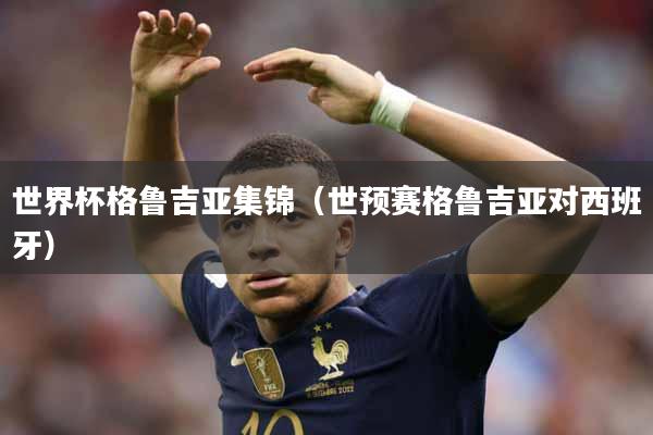 世界杯格鲁吉亚集锦（世预赛格鲁吉亚对西班牙）