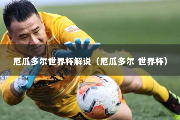 厄瓜多尔世界杯解说（厄瓜多尔 世界杯）
