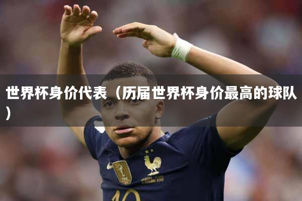 世界杯身价代表（历届世界杯身价最高的球队）