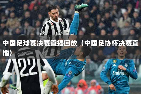 中国足球赛决赛直播回放（中国足协杯决赛直播）