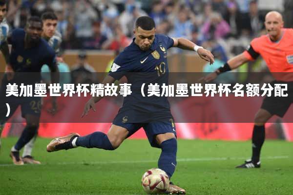 美加墨世界杯精故事（美加墨世界杯名额分配）