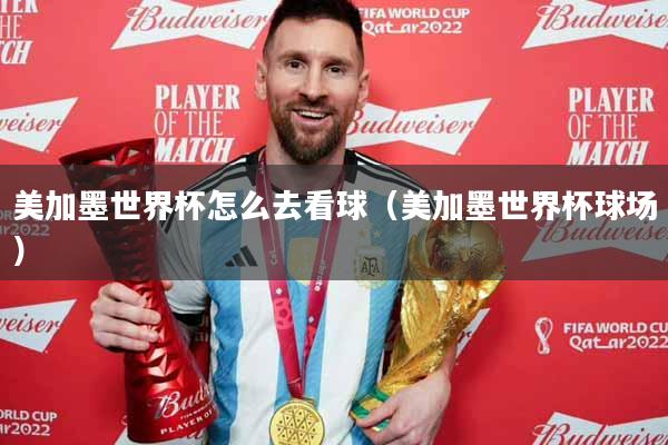 美加墨世界杯怎么去看球（美加墨世界杯球场）