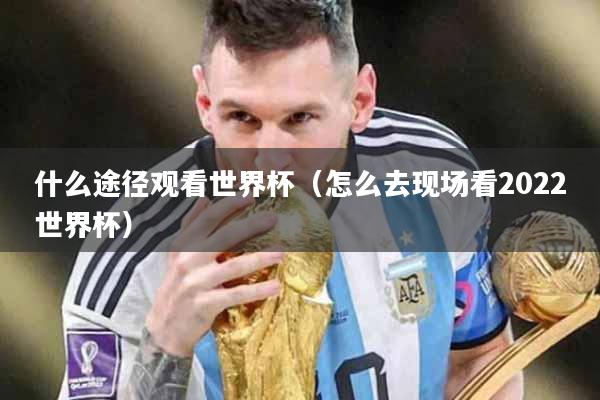 什么途径观看世界杯（怎么去现场看2022世界杯）