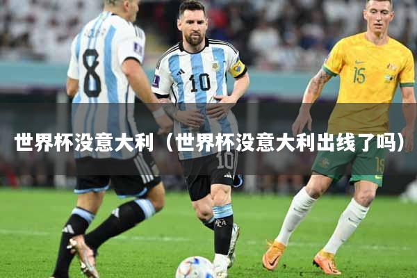 世界杯没意大利（世界杯没意大利出线了吗）