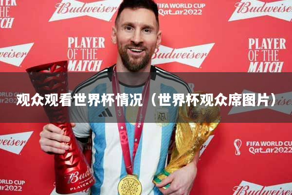 观众观看世界杯情况（世界杯观众席图片）
