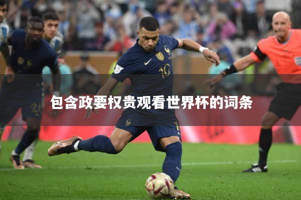 包含政要权贵观看世界杯的词条