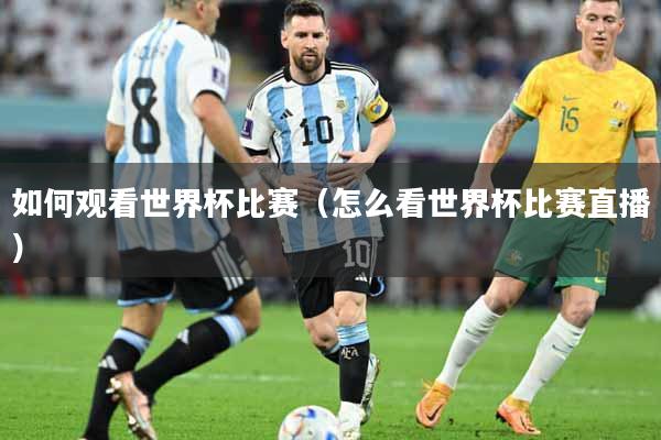 如何观看世界杯比赛（怎么看世界杯比赛直播）