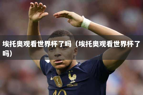 埃托奥观看世界杯了吗（埃托奥观看世界杯了吗）