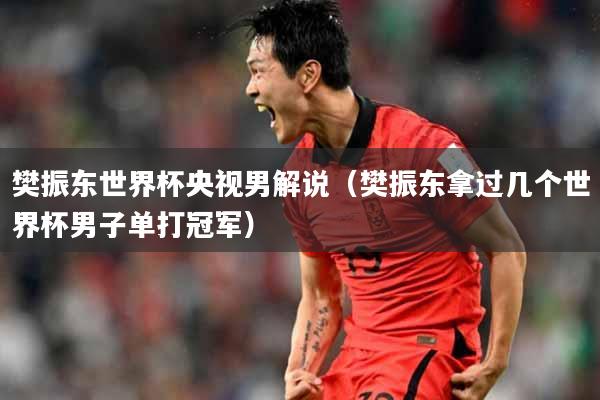 樊振东世界杯央视男解说（樊振东拿过几个世界杯男子单打冠军）