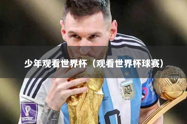 少年观看世界杯（观看世界杯球赛）