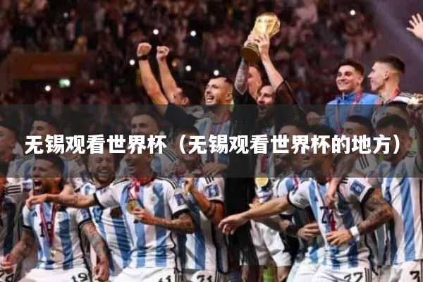 无锡观看世界杯（无锡观看世界杯的地方）