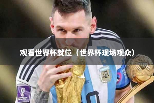 观看世界杯就位（世界杯现场观众）