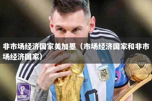 非市场经济国家美加墨（市场经济国家和非市场经济国家）