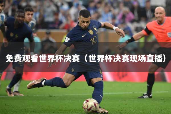 免费观看世界杯决赛（世界杯决赛现场直播）