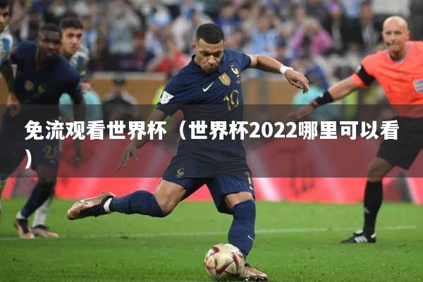 免流观看世界杯（世界杯2022哪里可以看）
