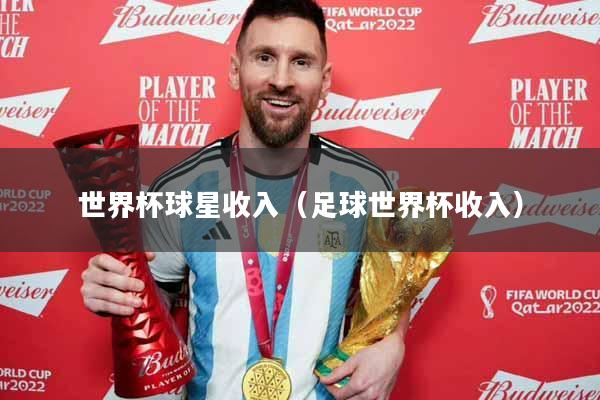 世界杯球星收入（足球世界杯收入）