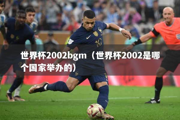 世界杯2002bgm（世界杯2002是哪个国家举办的）