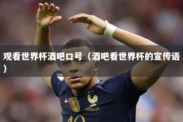 观看世界杯酒吧口号（酒吧看世界杯的宣传语）