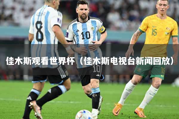 佳木斯观看世界杯（佳木斯电视台新闻回放）