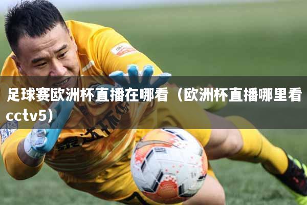 足球赛欧洲杯直播在哪看（欧洲杯直播哪里看cctv5）