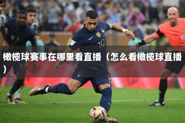 橄榄球赛事在哪里看直播（怎么看橄榄球直播）