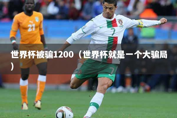 世界杯被骗1200（世界杯就是一个大骗局）